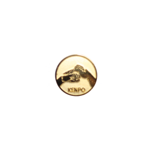Kenpo Pin (Gold)